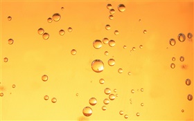 Water drops, orange background HD wallpaper