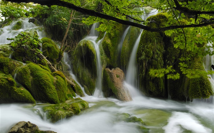 Waterfalls, creek, stones, twigs, leaves Wallpapers Pictures Photos Images