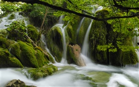 Waterfalls, creek, stones, twigs, leaves HD wallpaper