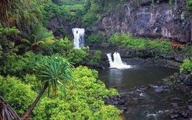 Waterfalls, creek, water, rocks, plants, Hawaii, USA