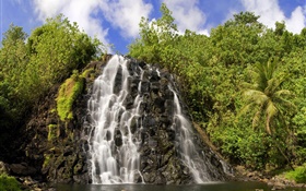 Waterfalls, plants HD wallpaper