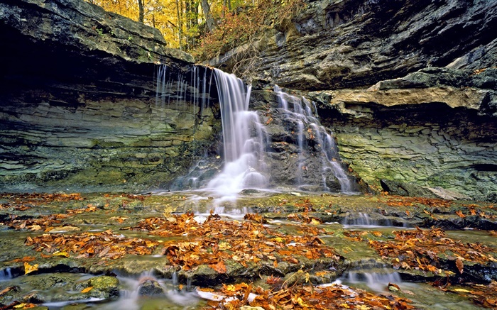 Waterfalls, rocks, red leaves, autumn Wallpapers Pictures Photos Images