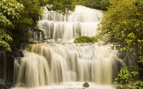 Waterfalls, trees HD wallpaper