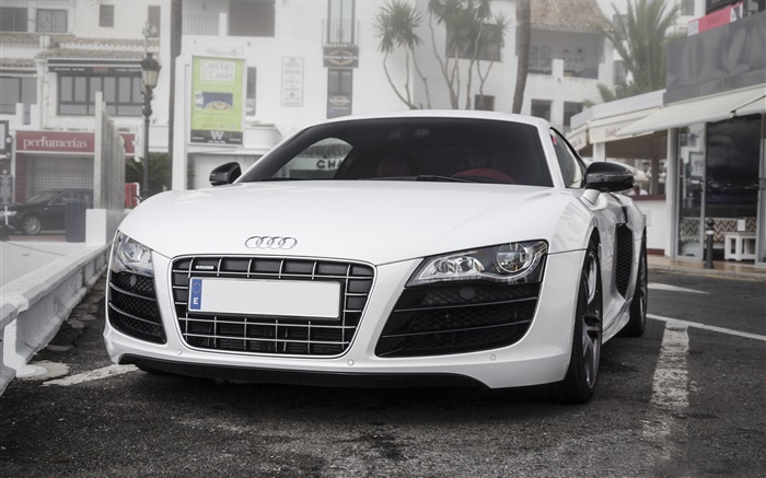 White Audi car front view Wallpapers Pictures Photos Images
