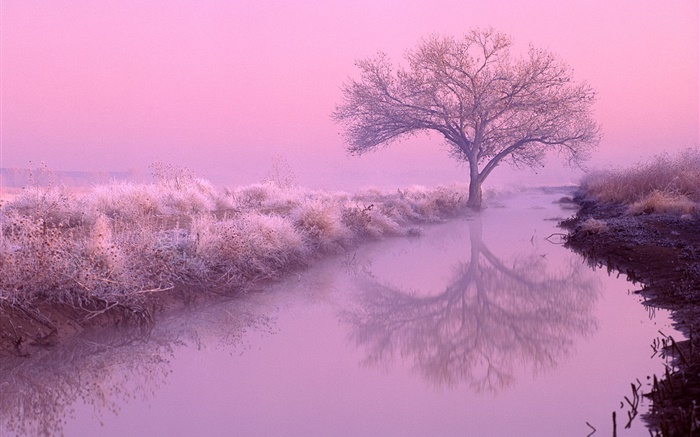 Winter morning, frost, trees, river, red sky Wallpapers Pictures Photos Images
