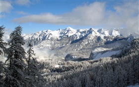 Winter, mountains, trees, snow, nature landscape