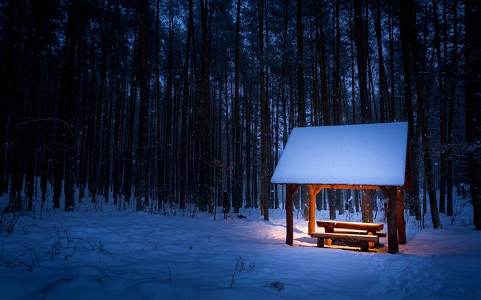 Winter, trees, pavilion, snow, night, light Wallpapers Pictures Photos Images
