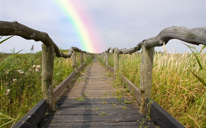 Wood footpath, fence, grass, rainbow, summer Wallpapers Pictures Photos Images