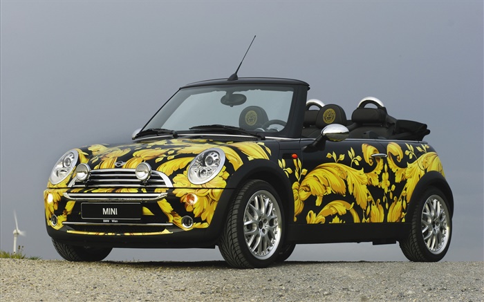 Yellow flowers MINI car Wallpapers Pictures Photos Images