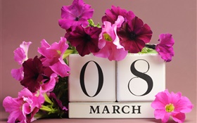 8 March, Women's Day, pink petunias flowers, date