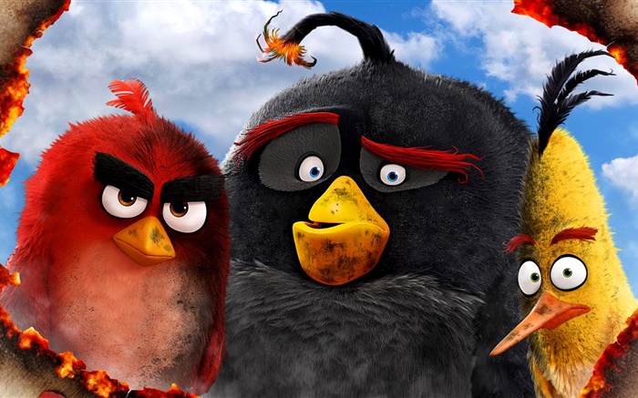 Angry Birds movie 2016 Wallpapers Pictures Photos Images