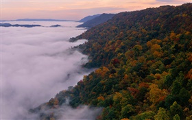 Beautiful nature landscape, mountains, trees, autumn, fog, dawn