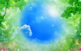 Blue sky, green leaves, sun, summer HD wallpaper