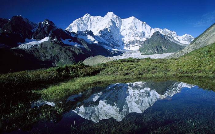 Chomo Lonzo, mountains, grass, pond, glaciers, Tibet Wallpapers Pictures Photos Images