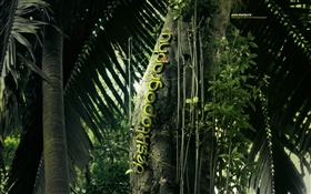 Creative design, forest, trees, caterpillar