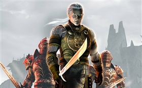 EverQuest, RPG game HD wallpaper