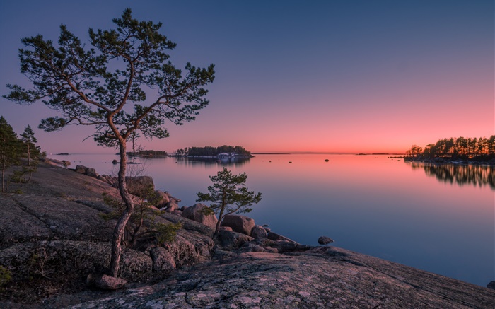 Finland, Finnish Bay, sea, island, sunset, trees, stones Wallpapers Pictures Photos Images
