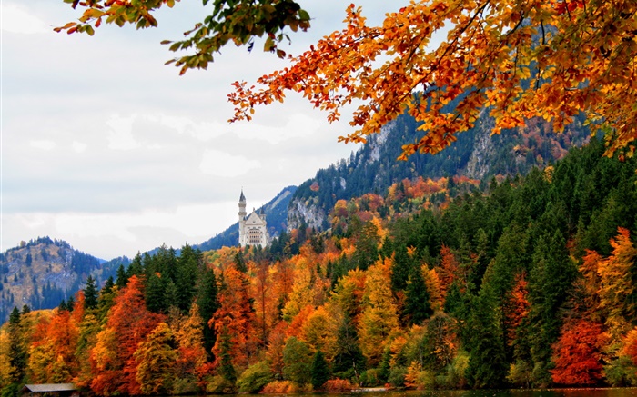 Germany, Bavaria, Schwangau castle, trees, river, autumn Wallpapers Pictures Photos Images