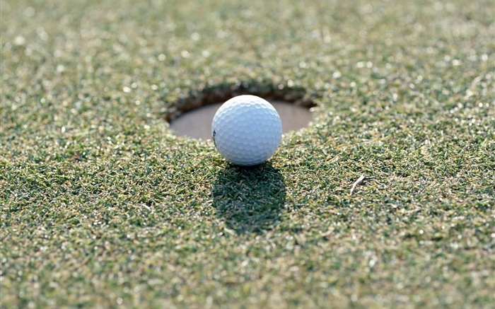 Golf ball on the grass Wallpapers Pictures Photos Images