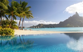 Lagoon, resort, palm trees, beach, pool, tropical HD wallpaper