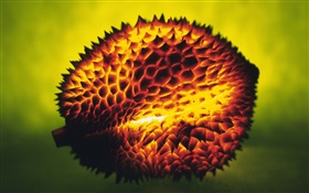 Light fruit, durian HD wallpaper