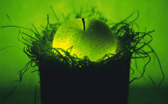 Light fruit, green apple in the nest Wallpapers Pictures Photos Images