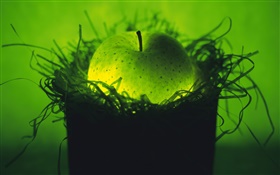Light fruit, green apple in the nest HD wallpaper