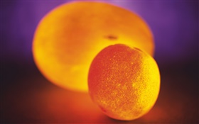 Light fruit, orange and melon HD wallpaper
