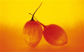 Light fruit, two tree tomatoes HD wallpaper