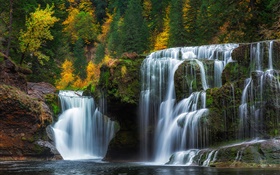 Lower Lewis River Falls, Washington, USA, waterfalls, autumn, trees HD wallpaper