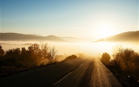 Morning, sunrise, fog, road, trees, sun rays HD wallpaper