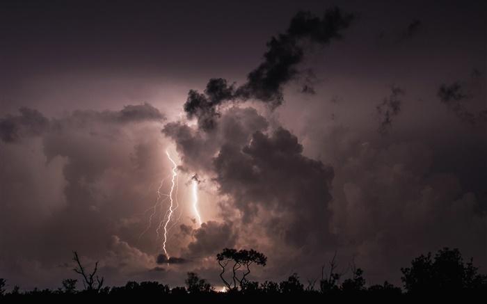Night, clouds, storm, lightning, trees, silhouette Wallpapers Pictures Photos Images