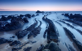 Ocean, coast, stones, rocks, dawn HD wallpaper