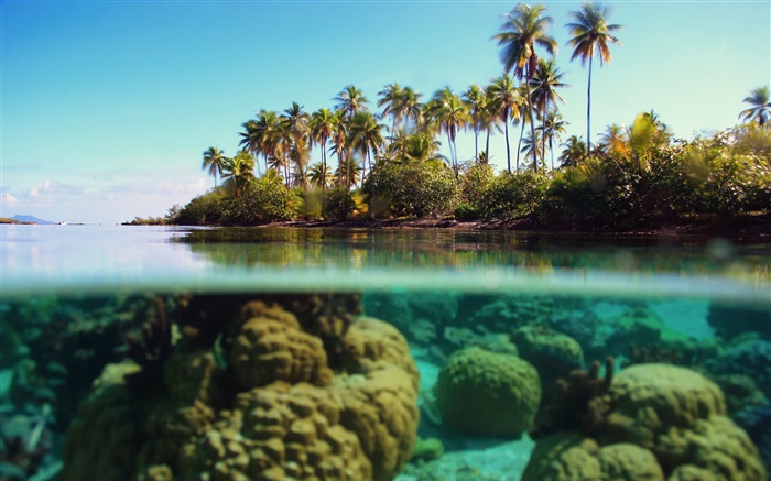 Ocean, sea, underwater, stones, palm trees, clouds Wallpapers Pictures Photos Images