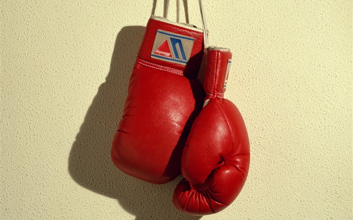 Red boxing gloves, sports Wallpapers Pictures Photos Images