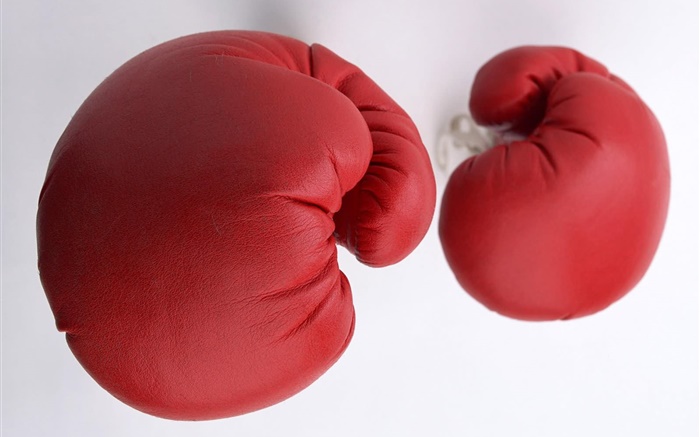 Red boxing gloves Wallpapers Pictures Photos Images