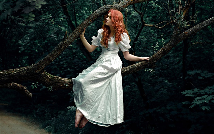 Red haired girl, white dress, forest, tree Wallpapers Pictures Photos Images