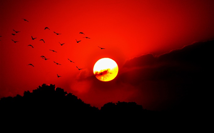 Red sky, clouds, sunset, glow, birds, silhouette Wallpapers Pictures Photos Images