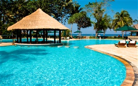 Resort, palm trees, pool, house, exotic HD wallpaper