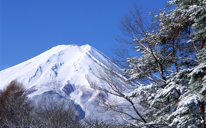 White world, winter, snow, Mount Fuji, Japan Wallpapers Pictures Photos Images