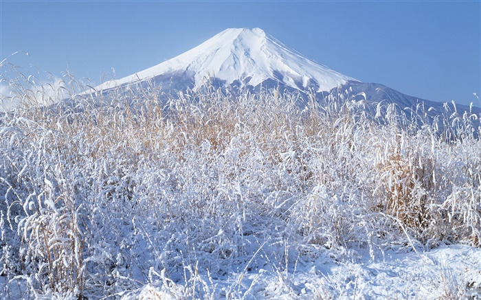 Winter, grass, snow, Mount Fuji, Japan Wallpapers Pictures Photos Images