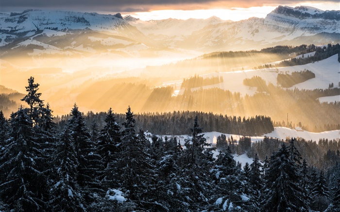Winter, mountains, morning, sun rays, trees, snow Wallpapers Pictures Photos Images
