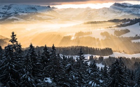 Winter, mountains, morning, sun rays, trees, snow HD wallpaper