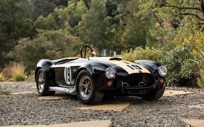 1965 Ford Shelby Cobra 427 retro car Wallpapers Pictures Photos Images