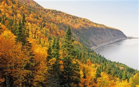 Autumn, mountains, forest, trees, coast, sea HD wallpaper