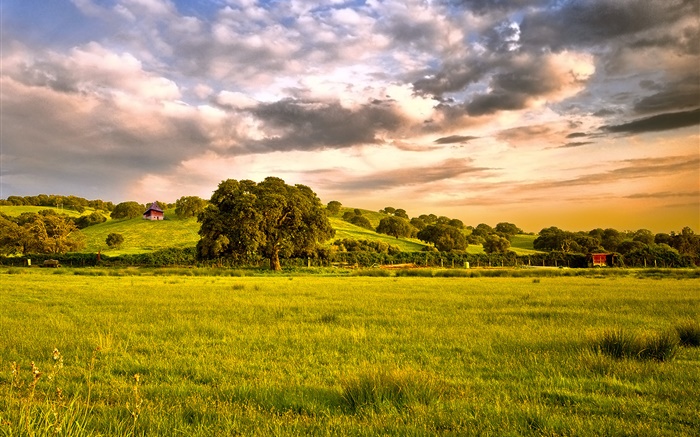 Countryside, fields, grass, trees, clouds, dusk Wallpapers Pictures Photos Images