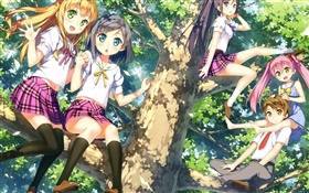 Cute anime girls in the tree HD wallpaper