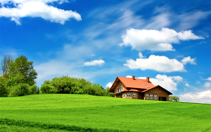 Green grass, trees, house, clouds, blue sky Wallpapers Pictures Photos Images