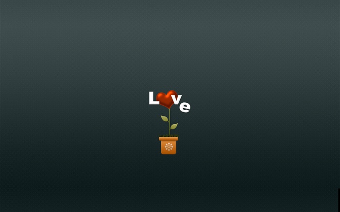 Love, flower, creative pictures Wallpapers Pictures Photos Images