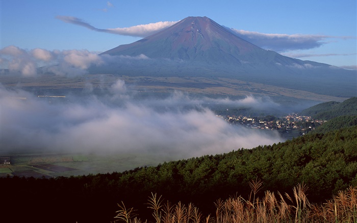 Mount Fuji, Japan, town, forest, grass, fog, clouds Wallpapers Pictures Photos Images